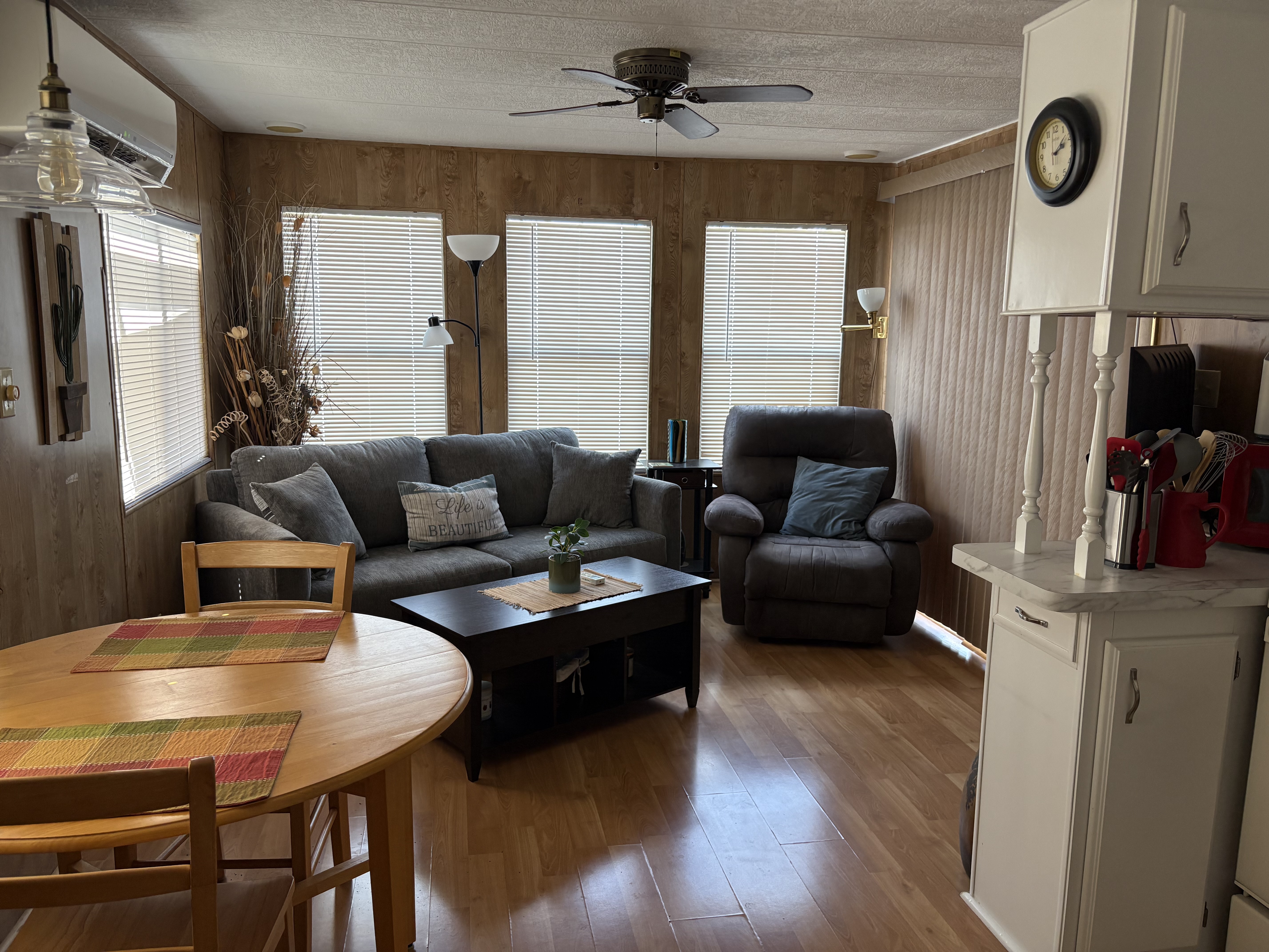Bright furnished living room